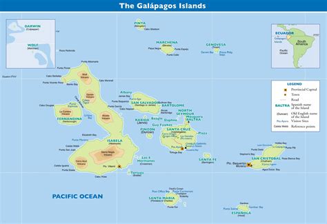 Galapagos FAQ | When is the Best Time to Travel to Galapagos?