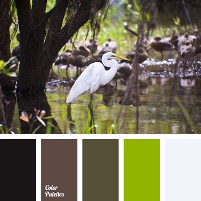 swamp palette | Color Palette Ideas