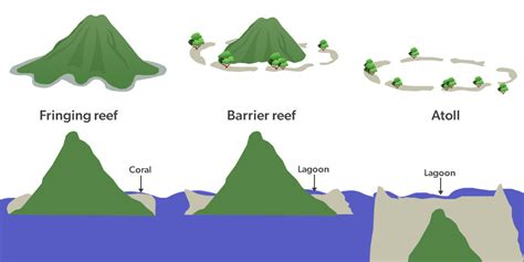 Coral Reefs: Types and Importance - GeeksforGeeks