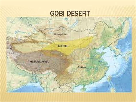 The gobi desert