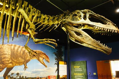 The Parker Project: A Must-See Exhibit for Local Dinosaur Lovers at the ...