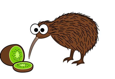 Kiwi Bird Eating Fruit Clip Art Image - ClipSafari