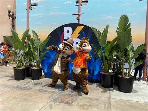 Chip 'n Dale Meeting Guests as the Rescue Rangers at Disney California Adventure to Celebrate ...