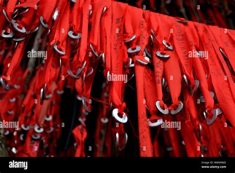 Wishing tree with coins in Sekinchan, Selangor, Malaysia Stock Photo ...