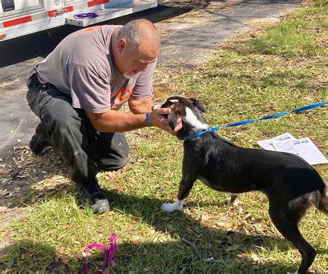 ASPCA Disaster Response Team Is On The Ground In Florida Conducting ...