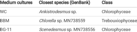 Identication of three dominant microalgae strains (at 5 ºC), isolated... | Download Scientific ...