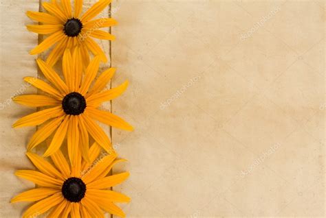 Background with flowers on old paper — Stock Photo © Yotka #2260500