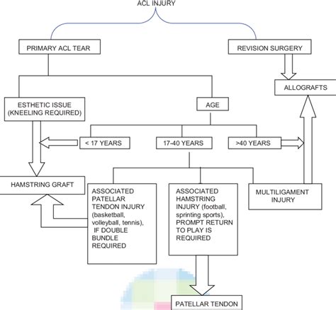 Algorithm for graft choice in ACL reconstruction | Download Scientific Diagram