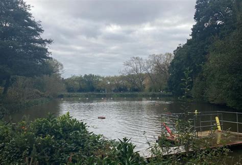 Hampstead Heath Ponds: The Ultimate Guide