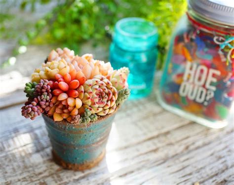 42 Amazing DIY Succulent Fairy Garden Ideas