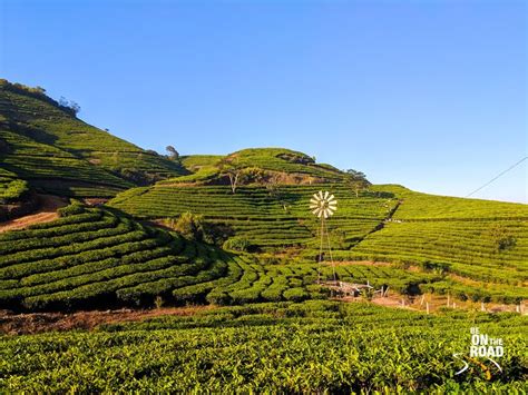 Vagamon: That off beat hill station of Kerala where rolling hills and ...