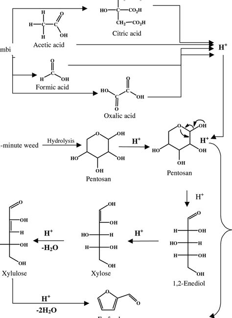 Formation of furfural [Ref. 44] | Download Scientific Diagram