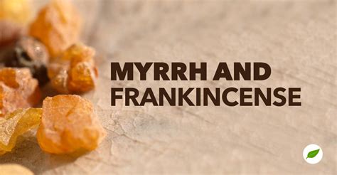 The Surprising Health Benefits of Myrrh Frankincense