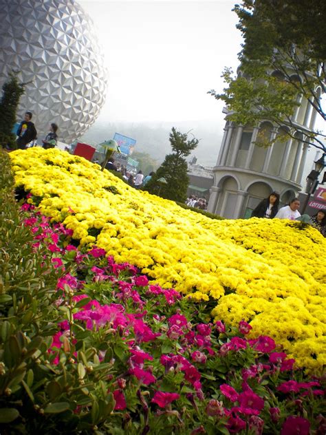 MAOLO in KOREA: Seoul Land Amusement Park 10.16.08