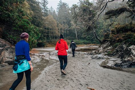 People Hiking on a Trail · Free Stock Photo