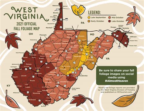 A Guide To The Best Fall Foliage Spots In West Virginia For Leaf Lovers