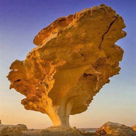 King of Wings rock formation in the Bisti Badlands of New Mexico By:- Philippe Schuler ...