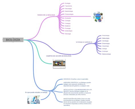 BIOLOGÍA (RAMAS DE LA BIOLOGÍA (Evolución, Zoología, Protozoología,…