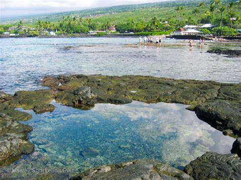 Kahaluu Beach Park Snorkeling Secrets! Guide to Big Island Snorkeling!