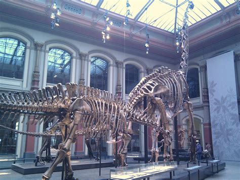 Today at the Berlin Museum of Natural History. Meet 'Oscar', the ...