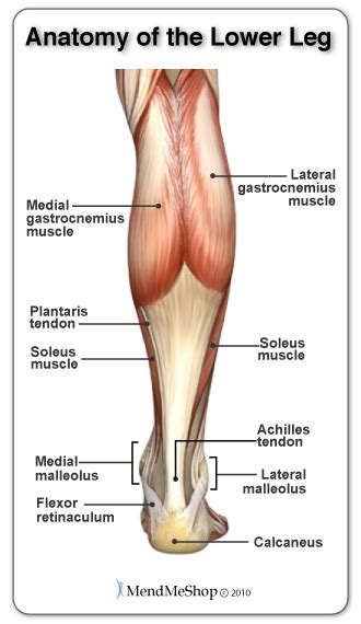 Post Surgery Rehabilitation - Achilles Tendonitis