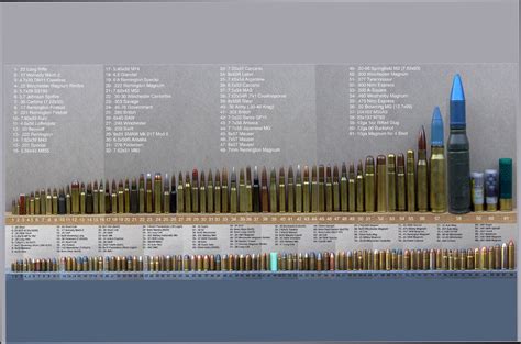 Bullet Caliber Comparison Chart Poster 24inx36in Poster | eBay