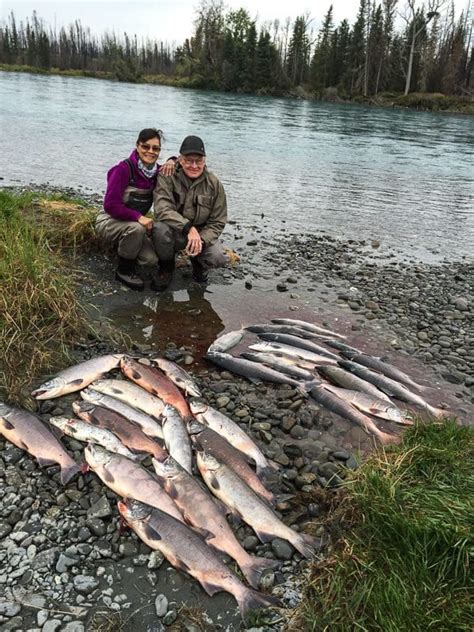 Sockeye - Alaska Fishology - Kenai River Salmon Fishing Guide