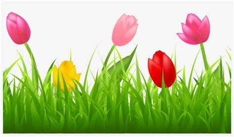 Grass With Colorful Tulips Png Clipart Spring Pinterest - Tulip Border Clipart Transparent PNG ...