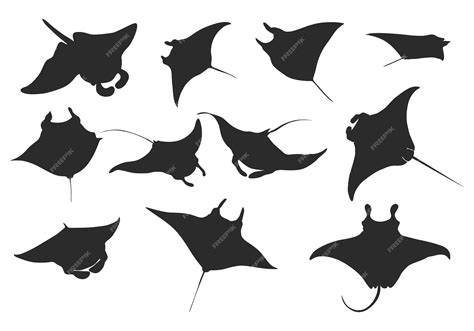 Premium Vector | Manta ray silhouette Manta ray vector Manta ray icon ...