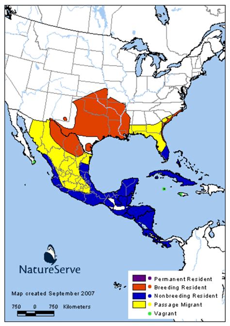 Painted Bunting Migration Map 2024 - Barb Marice