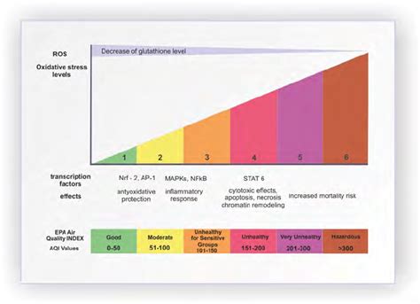 Levels of oxidative stress biomarkers in epithelial cells and their... | Download Scientific Diagram