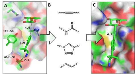 Ligand design strategy: (A) Example of a fragment screening hit, (B ...