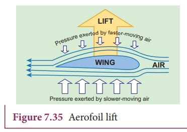 Describe Using Bernoulli's Principle Howroofs - Ryann-has-Price