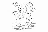 Coloring Pages Of A Swan sketch template