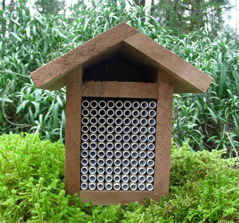 Full House Mason bee home | Mason bee house, Mason bees, Insect hotel