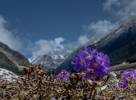 Gangtok Weather in September in 2024 - eSikkim Tourism