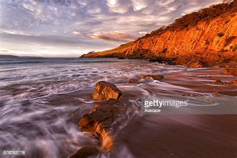 Clifton Beach Tasmania Photos and Premium High Res Pictures - Getty Images