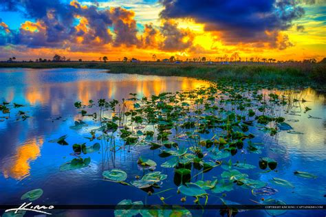 Sunset Pine Glades Florida Wetlands | HDR Photography by Captain Kimo