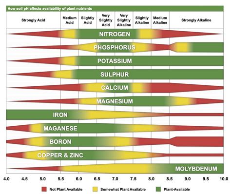 Soil Testing, Liming, and Fertilizing Wildlife Food Plots - Alabama Cooperative Extension System