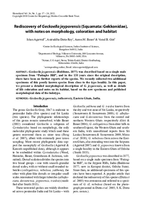 (PDF) Rediscovery of Geckoella jeyporensis (Squamata: Gekkonidae), with notes on morphology ...