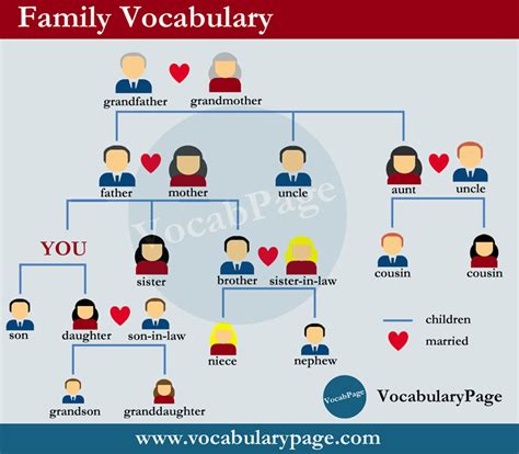 Family vocabulary