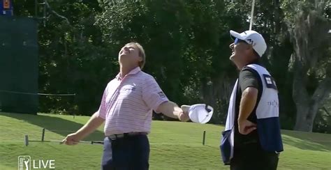 Ernie Els literally got pooped on by a bird at the Players Championship | For The Win