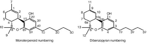 Numbering of cannabinoids. Chemical structure of THC, according to the... | Download Scientific ...