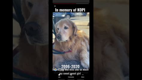 This is how long Thinknoodles dog lived Kopi R.I.P - YouTube