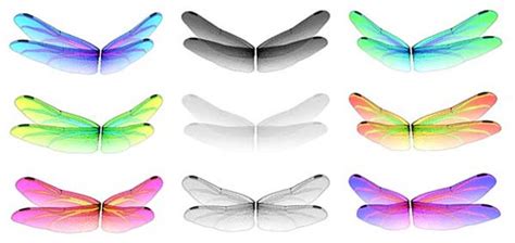 Dragonfly fairy wings by Jen Shikami of Seven's Selections… | Flickr