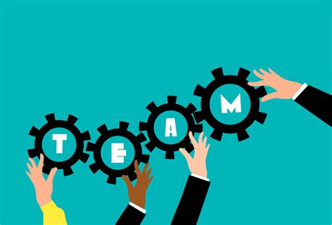 Free Image on Pixabay - Teamwork, Team, Cooperation in 2021 | Teamwork ...