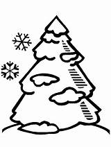 Evergreen Coloring Pages  Printable Tree Sheets sketch template