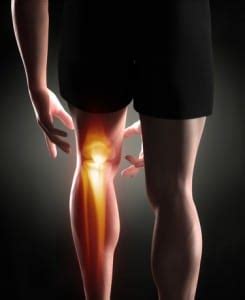 ACL Injury Prevention Program Strategies - Form & Function Therapy