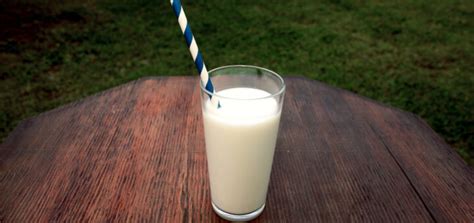 Tracking the Fate of Milk Proteins: Better in Whole or in Part? - Metabolic Health Digest