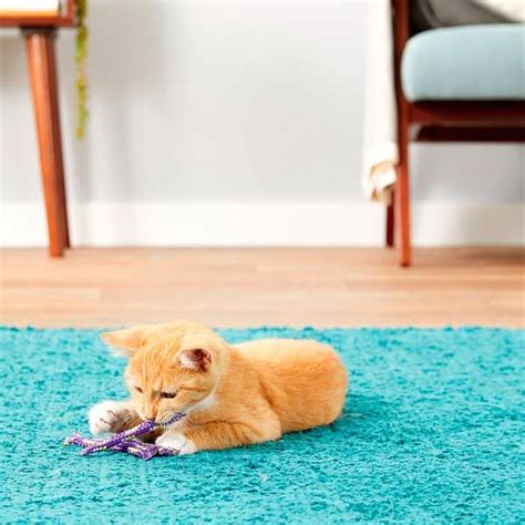 Catnip Rolls – La Tiendita Cuatro Patas